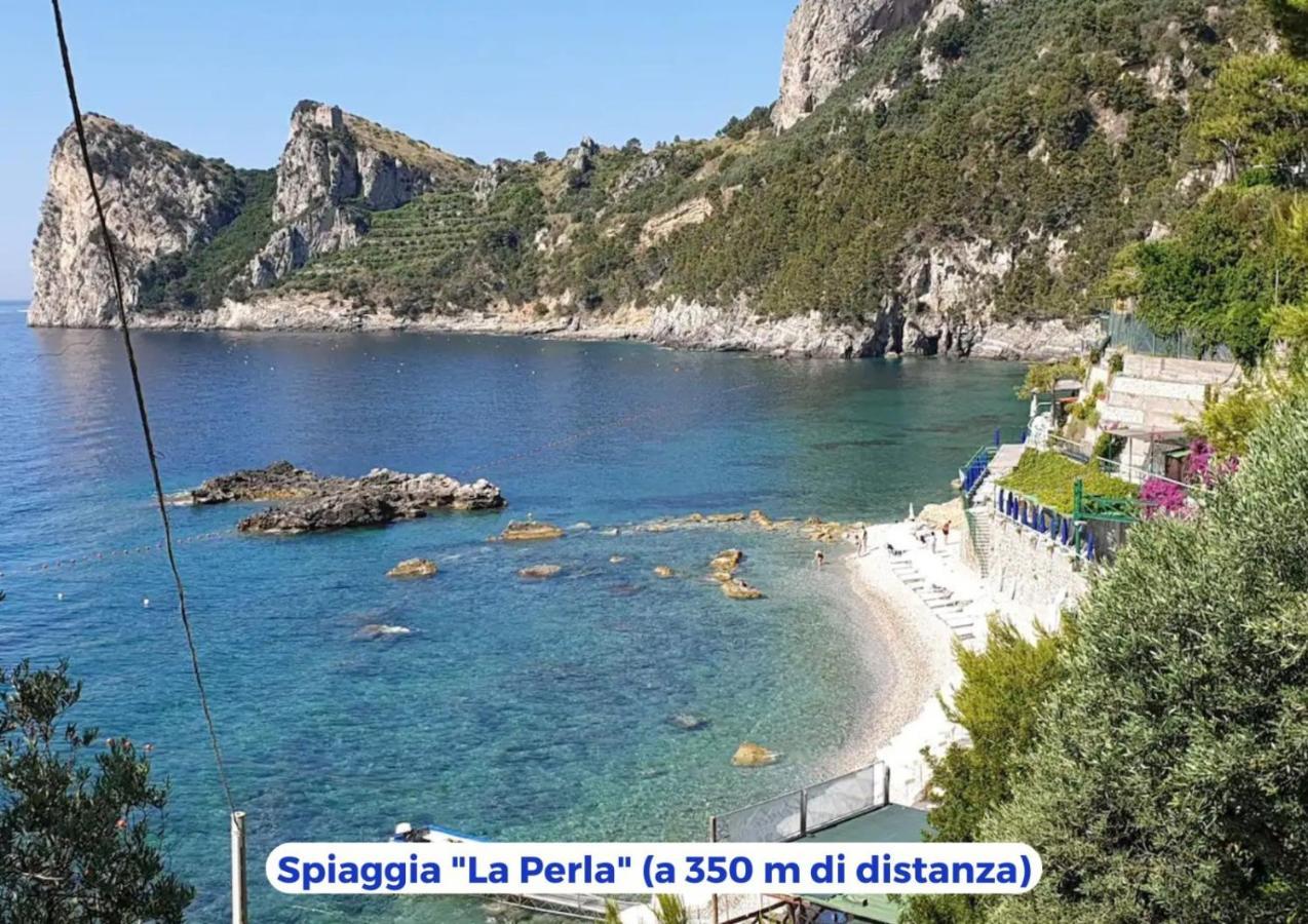 Siren Land - Marina Del Cantone Nerano Ngoại thất bức ảnh